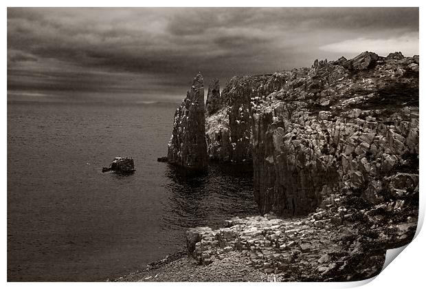 Isle of May Sea cliffs Print by Malcolm Smith