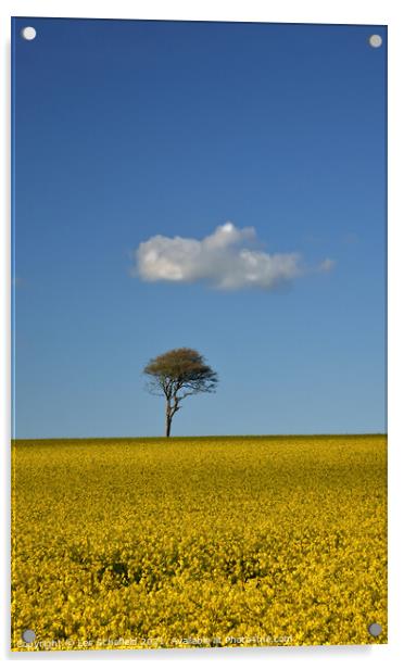 Cloud Tree  Field  Acrylic by Les Schofield
