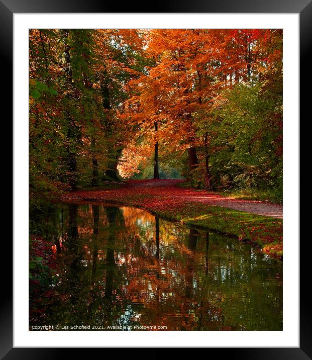 Autumn Woods Framed Mounted Print by Les Schofield