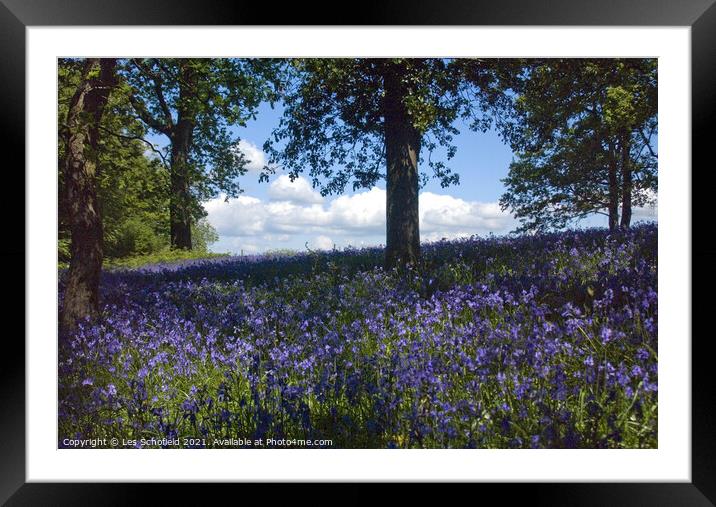 Bluebells Woods Framed Mounted Print by Les Schofield