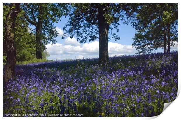 Bluebells Woods Print by Les Schofield