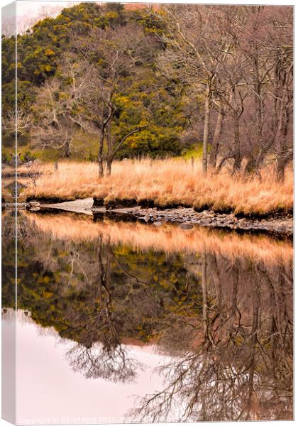 Reflections  Canvas Print by Ed Whiting