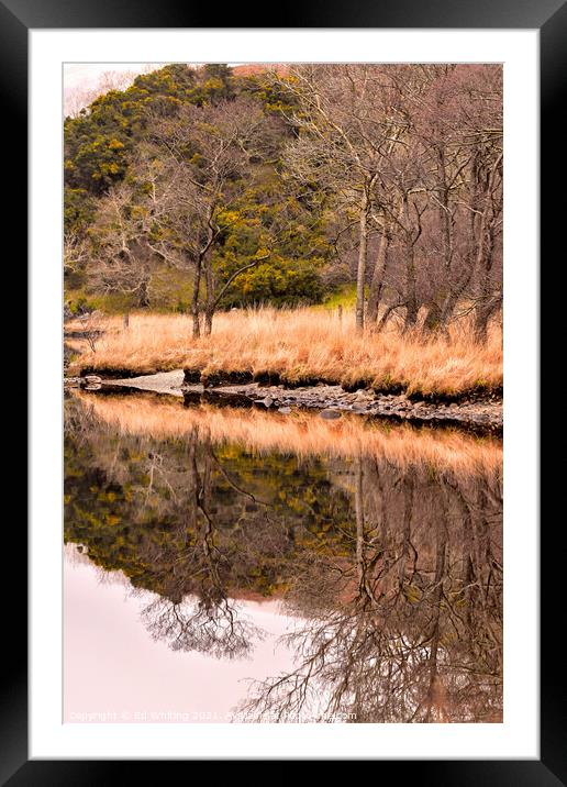 Reflections  Framed Mounted Print by Ed Whiting