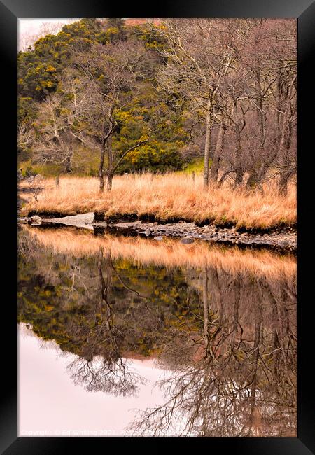 Reflections  Framed Print by Ed Whiting