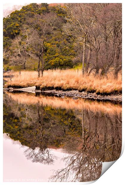 Reflections  Print by Ed Whiting