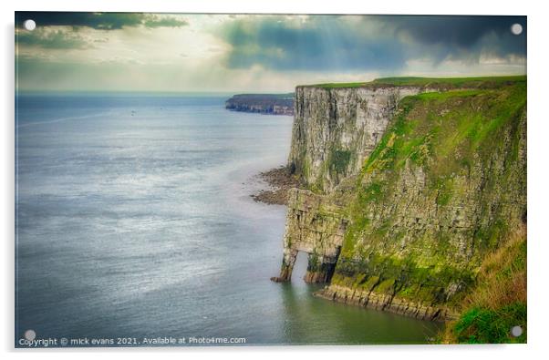 Bempton Cliffs Acrylic by Mick Evans