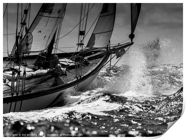 Sailing Print by Ed Whiting
