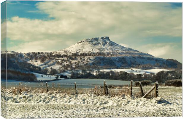 Roseberry Topping Near Great Ayton Canvas Print by Mick Evans