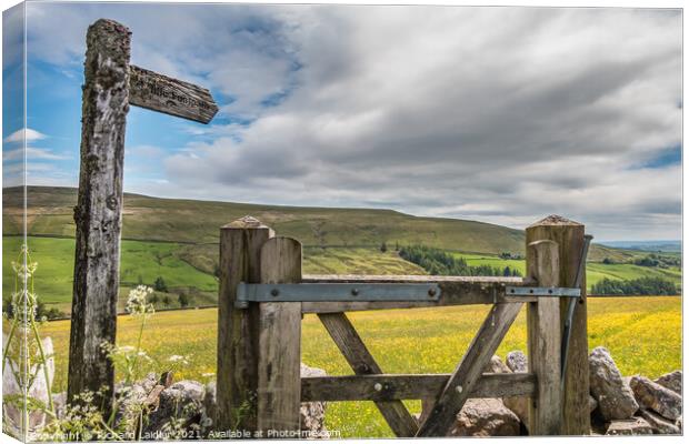 Gateway to the Meadow Canvas Print by Richard Laidler