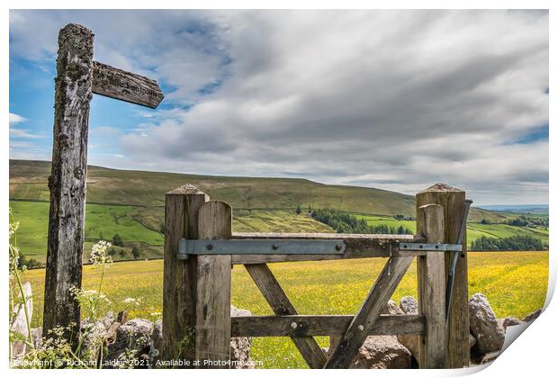 Gateway to the Meadow Print by Richard Laidler