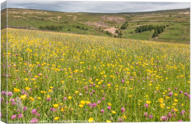 Flowering Hay Meadow at Club Gill  Canvas Print by Richard Laidler