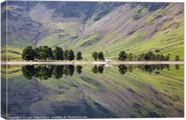 Trees and mountainside reflected in the surface of Buttermere la Canvas Print by Liam Grant