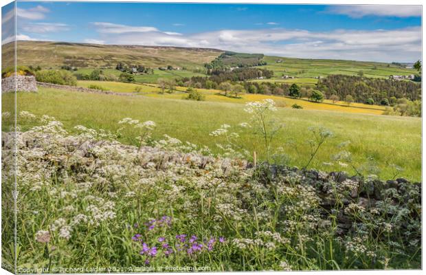 Over to Snaisgill from Aukside in Summer Canvas Print by Richard Laidler
