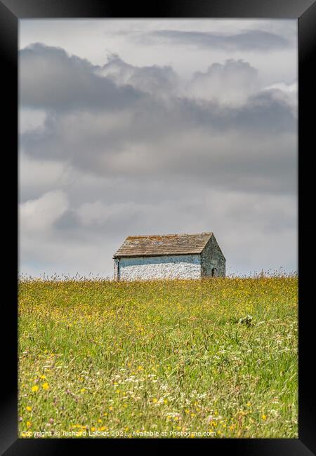 Barn in a Hay Meadow Framed Print by Richard Laidler