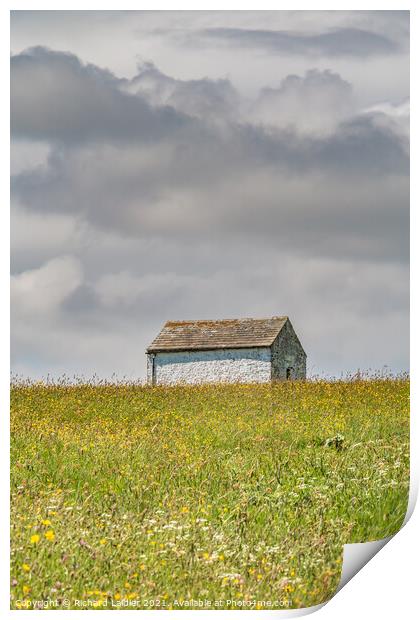 Barn in a Hay Meadow Print by Richard Laidler