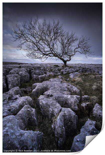 Limestone Tree Print by Rick Bowden