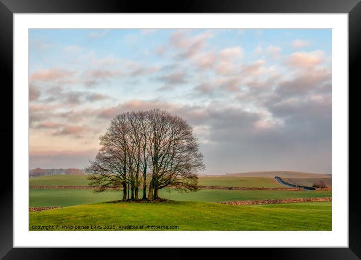 Trees in North Yorkshire Framed Mounted Print by Philip Baines