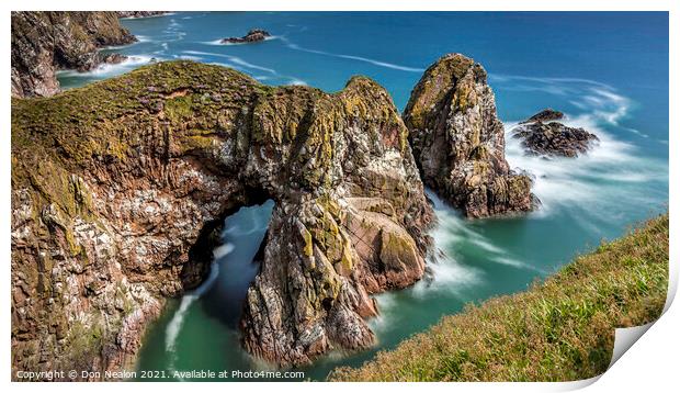 Majestic Camels at Bullers of Buchan Print by Don Nealon