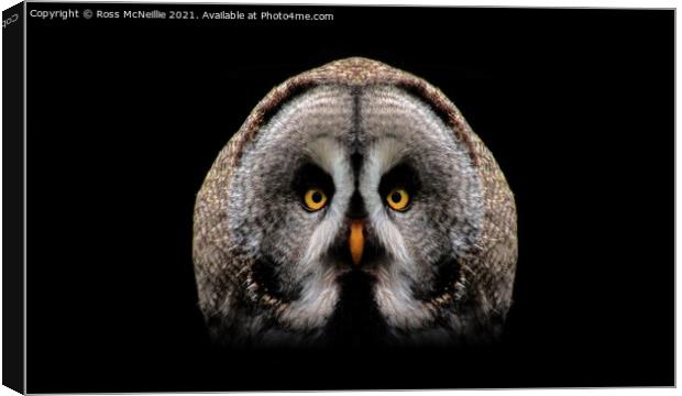 The Great Grey Owl Canvas Print by Ross McNeillie