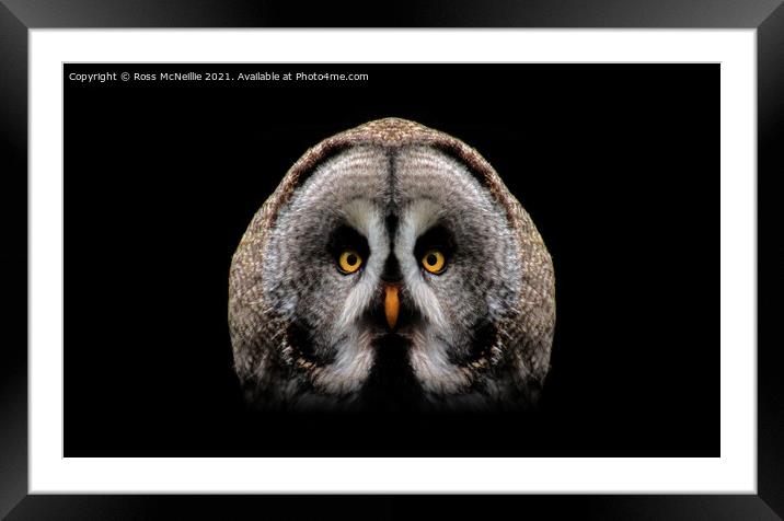 The Great Grey Owl Framed Mounted Print by Ross McNeillie
