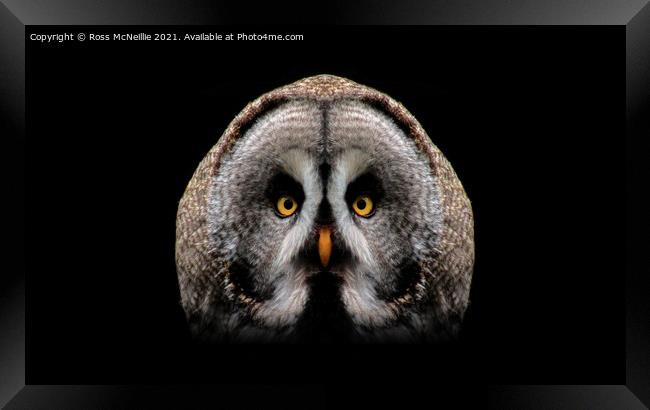 The Great Grey Owl Framed Print by Ross McNeillie