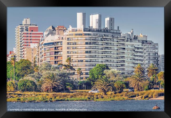 Urban Coastal Scene, Montevideo Uruguay Framed Print by Daniel Ferreira-Leite