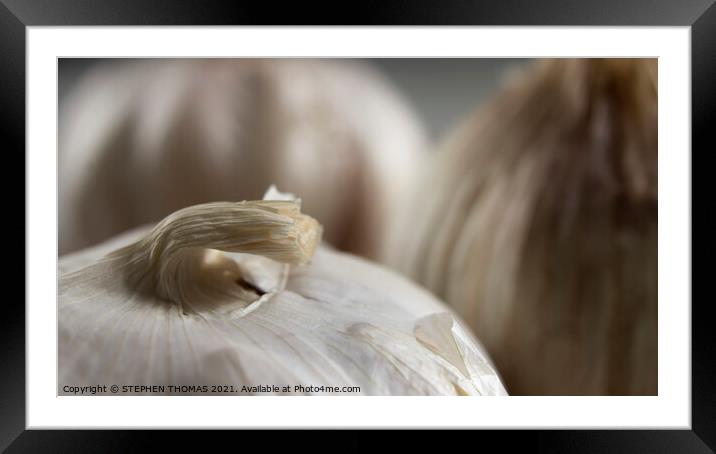 Garlic Bulbs - The Curling Rock Framed Mounted Print by STEPHEN THOMAS