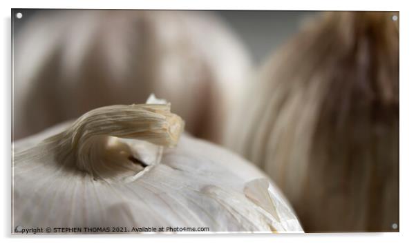 Garlic Bulbs - The Curling Rock Acrylic by STEPHEN THOMAS