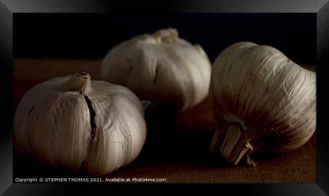 Three Garlic Bulbs Framed Print by STEPHEN THOMAS