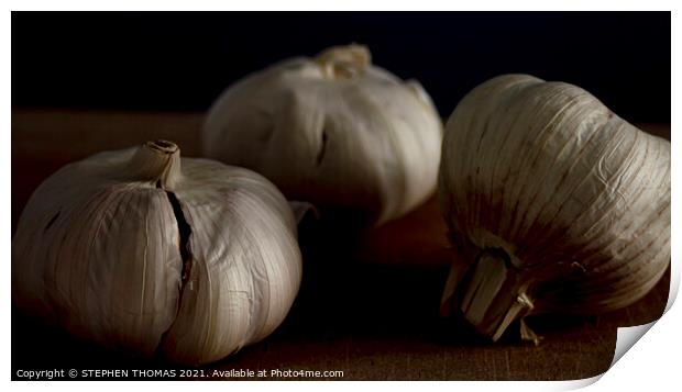 Three Garlic Bulbs Print by STEPHEN THOMAS