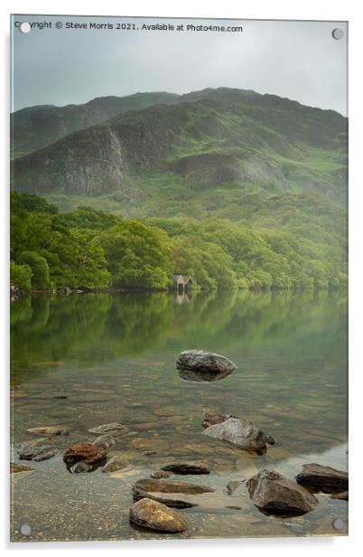 Llyn Dinas, Snowdonia Acrylic by Steve Morris