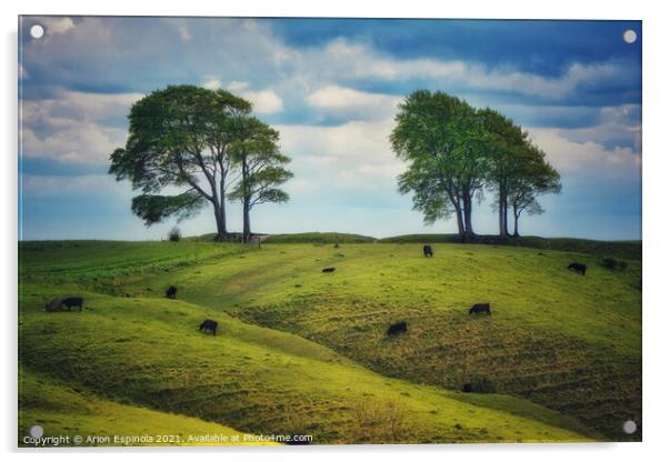 Cows on a lush green Roundway Hill Acrylic by Arion Espinola
