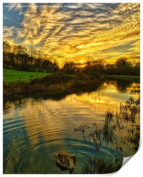 Sunset at Lacock Print by Arion Espinola