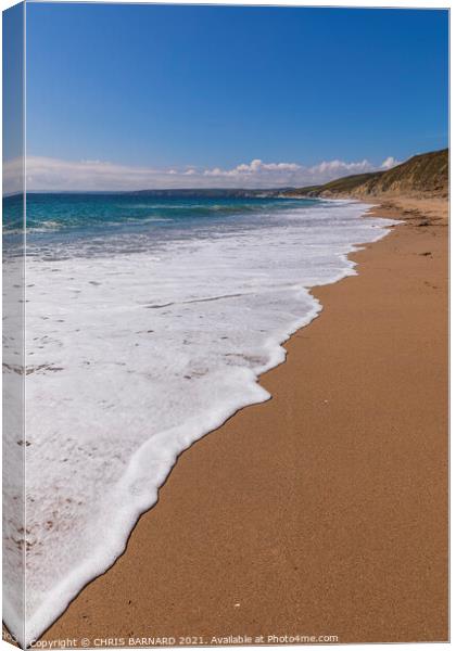 Fishing Cove Gunwalloe Canvas Print by CHRIS BARNARD