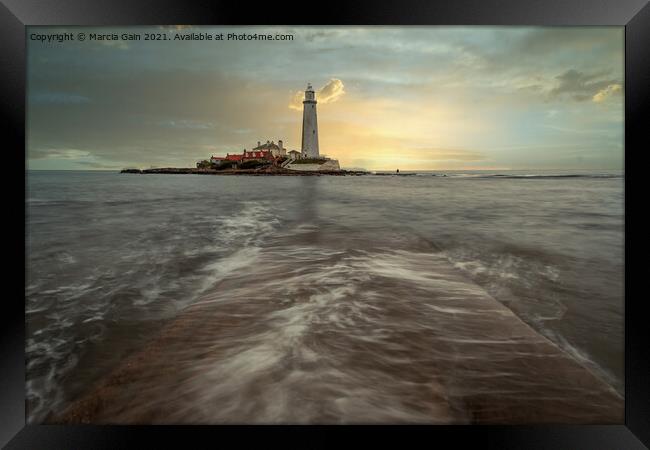 St Mary's Lighthouse Framed Print by Marcia Reay