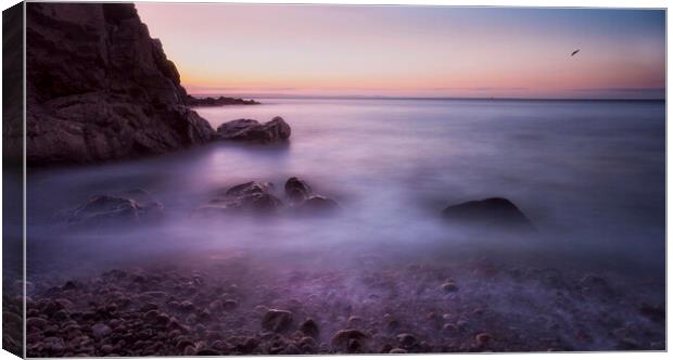 Donkey Rock at Rotherslade Bay Canvas Print by Leighton Collins