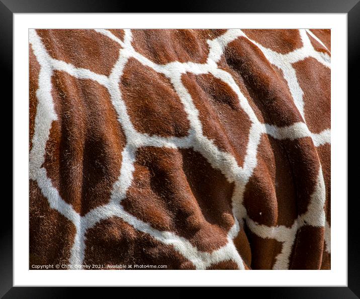 Giraffe Markings Framed Mounted Print by Chris Dorney