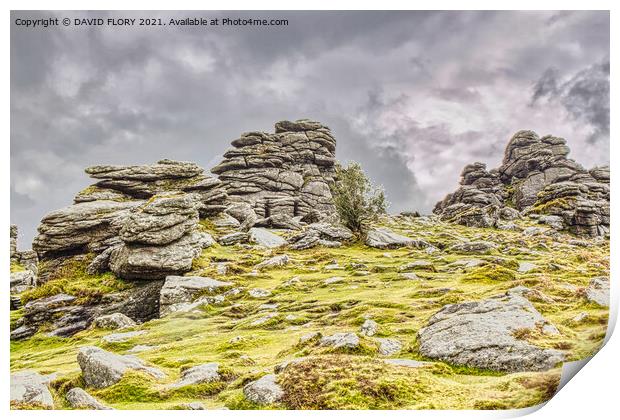 Storm brewing over Hound Tor Print by DAVID FLORY