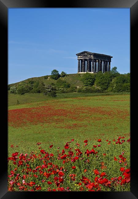 Penshaw Monument Poppies Framed Print by Kevin Tate
