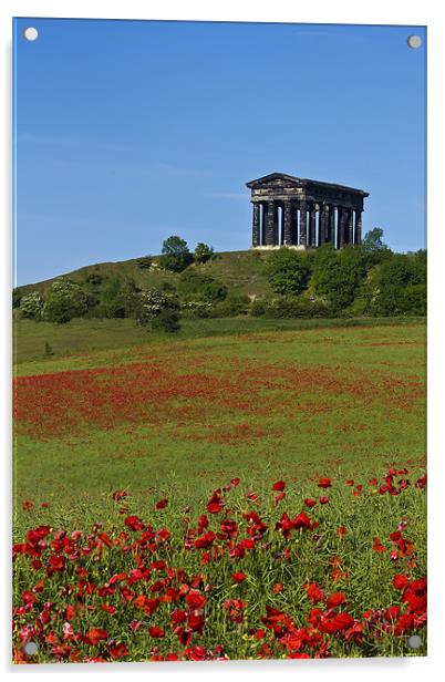 Penshaw Monument Poppies Acrylic by Kevin Tate