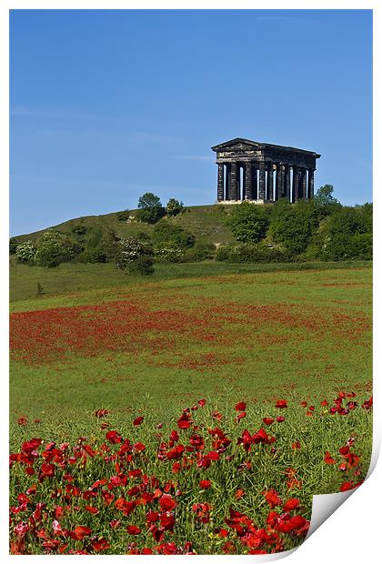 Penshaw Monument Poppies Print by Kevin Tate