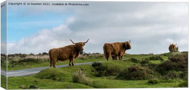 Highland Cows on Dartmoor Canvas Print by Jo Sowden