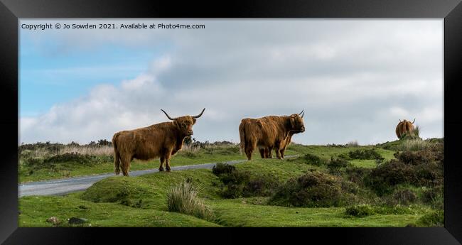 Highland Cows on Dartmoor Framed Print by Jo Sowden