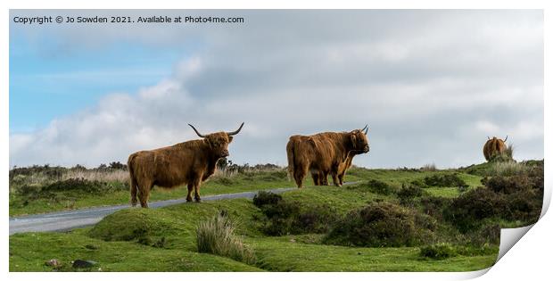 Highland Cows on Dartmoor Print by Jo Sowden