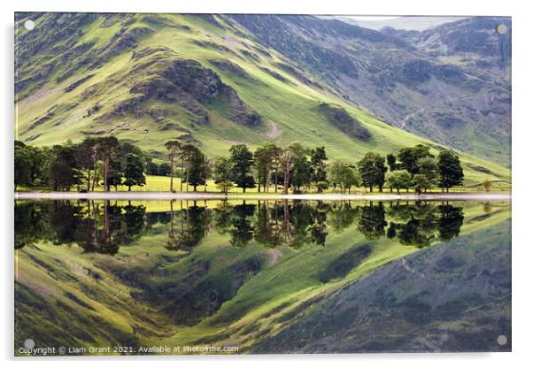 Trees and mountainside reflected in the surface of Buttermere la Acrylic by Liam Grant