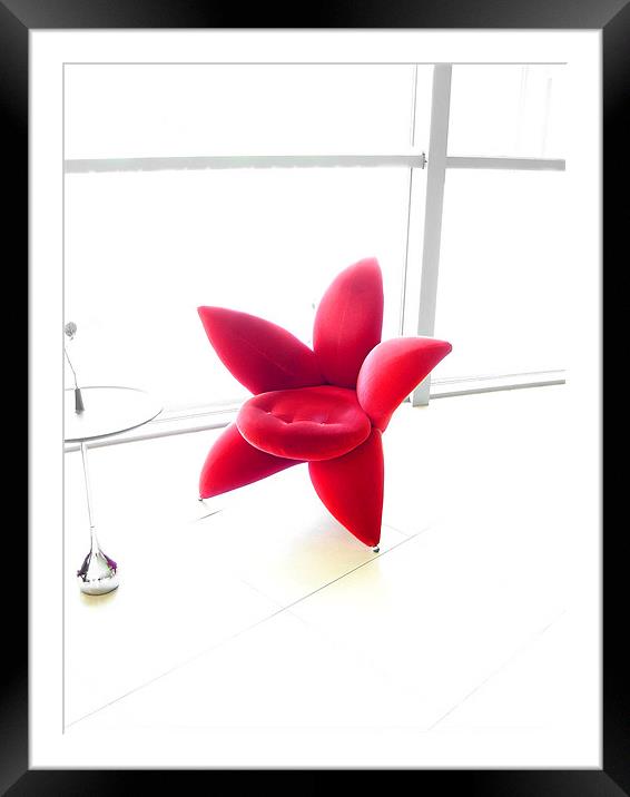 Red Starfish Chair Framed Mounted Print by Jay Huckins