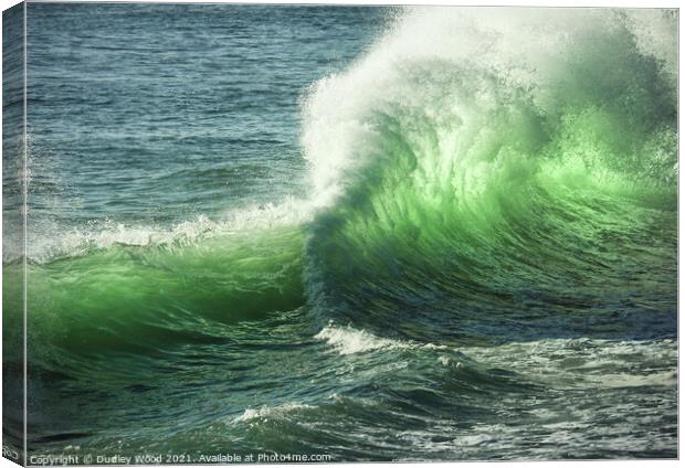Green translucent wave Canvas Print by Dudley Wood
