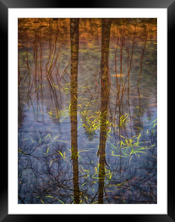 Reflections Of Nature Framed Mounted Print by Clive Eariss