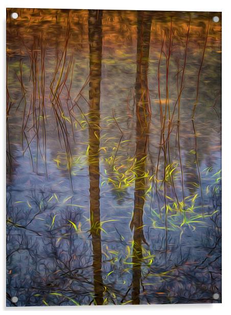 Reflections Of Nature Acrylic by Clive Eariss
