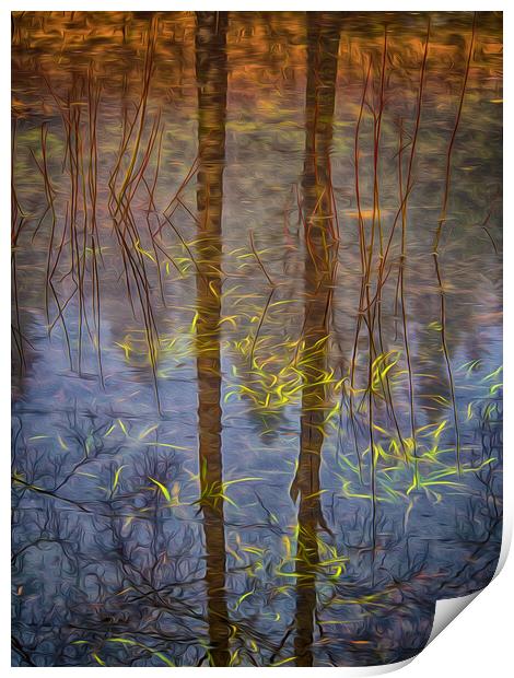 Reflections Of Nature Print by Clive Eariss